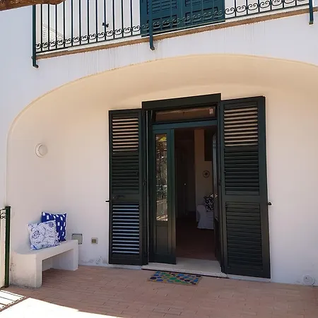 Anna Rosa * 拉维罗